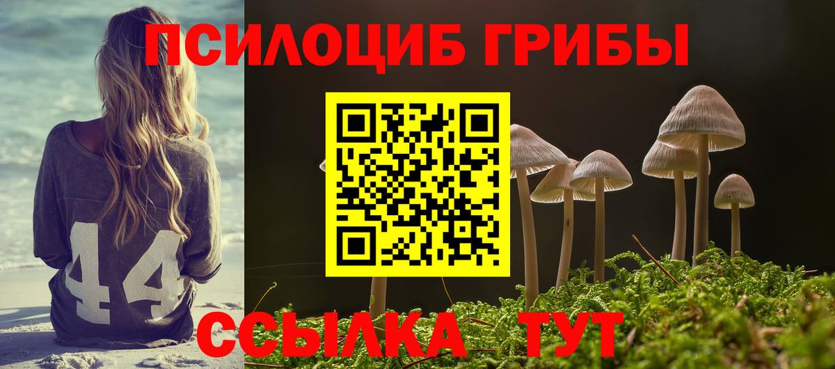 Галлюциногенные грибы Psilocybe Майский